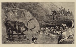 Dzień z księciem Walii na Exmoor